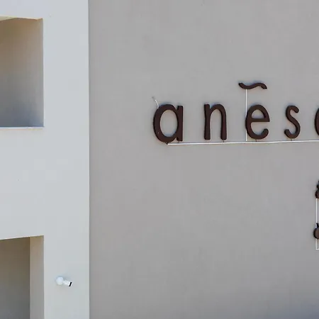 Anese Vacation Feelings Hotel
